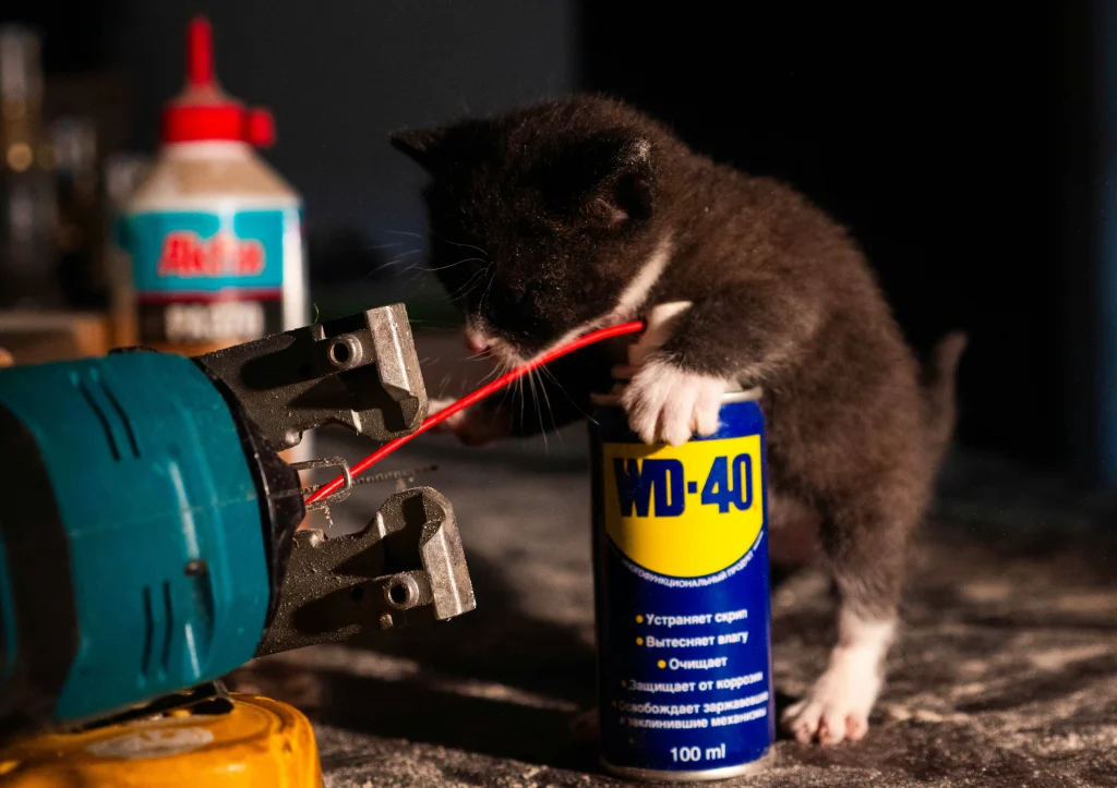 En liten svartvit kattunge som lekfullt "reparerar" verktyg på en arbetsbänk. Kattungen står på bakbenen och lutar sina vita framtassar mot en blågul sprayburk av märket WD-40. Det röda förlängningsröret från sprayflaskan sträcker sig fram mot bladet på en elektrisk sticksåg som ligger i förgrunden.